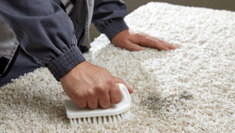 Professional Rug Cleaning Mill Park